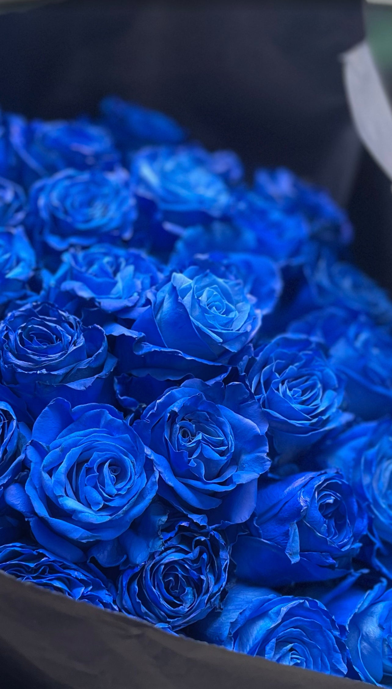 Luxury Blaue Rosen mit Edler Verpackung