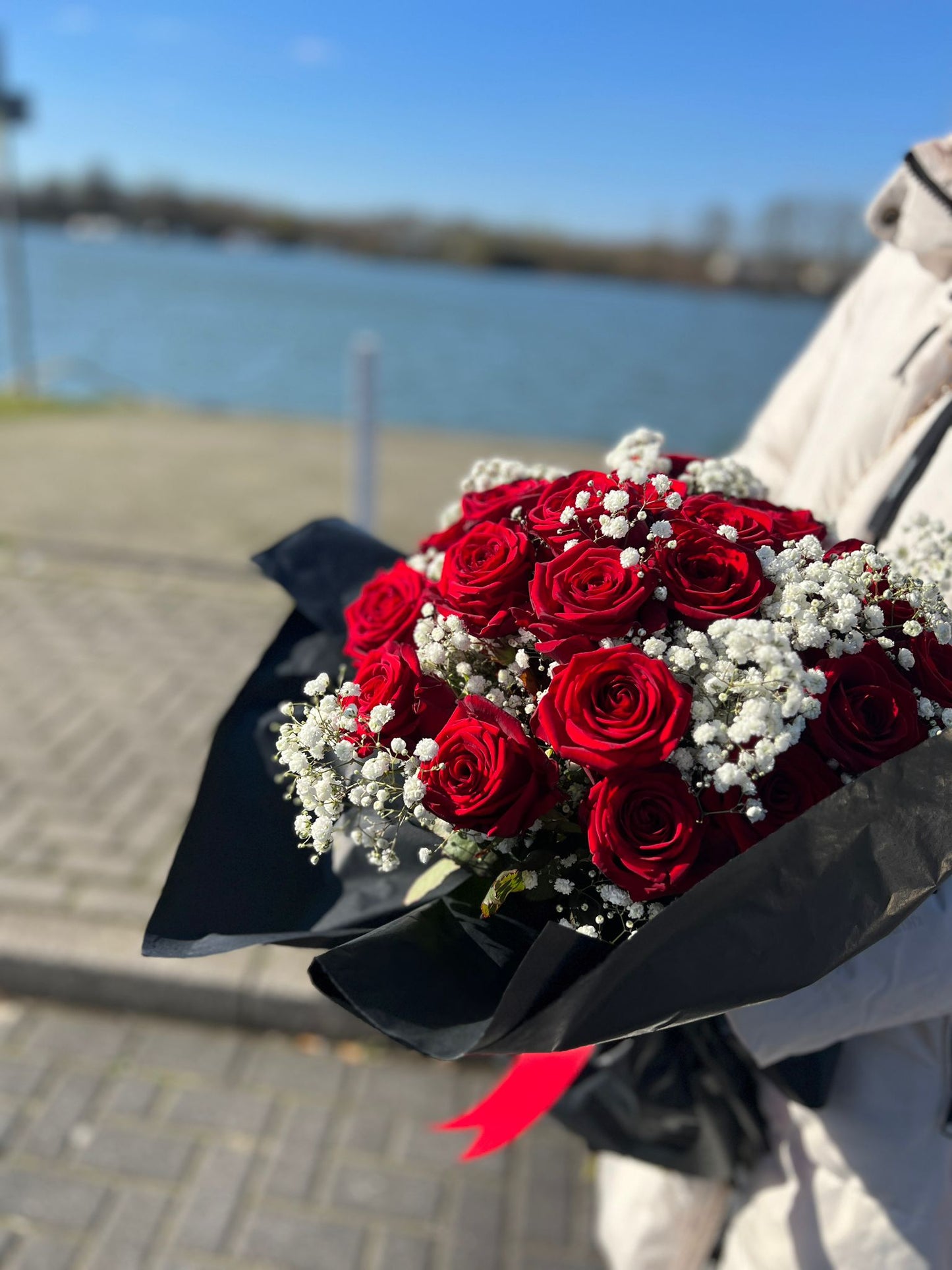 20 Rote Rosen mit Schleierkraut Edel verpackt